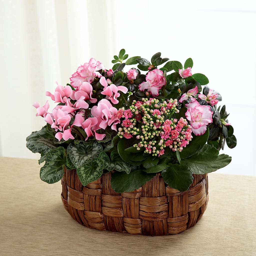 Pink Assortment – FUZZY'S FLOWERS GIFTS AND TUXEDOS, Marion OH