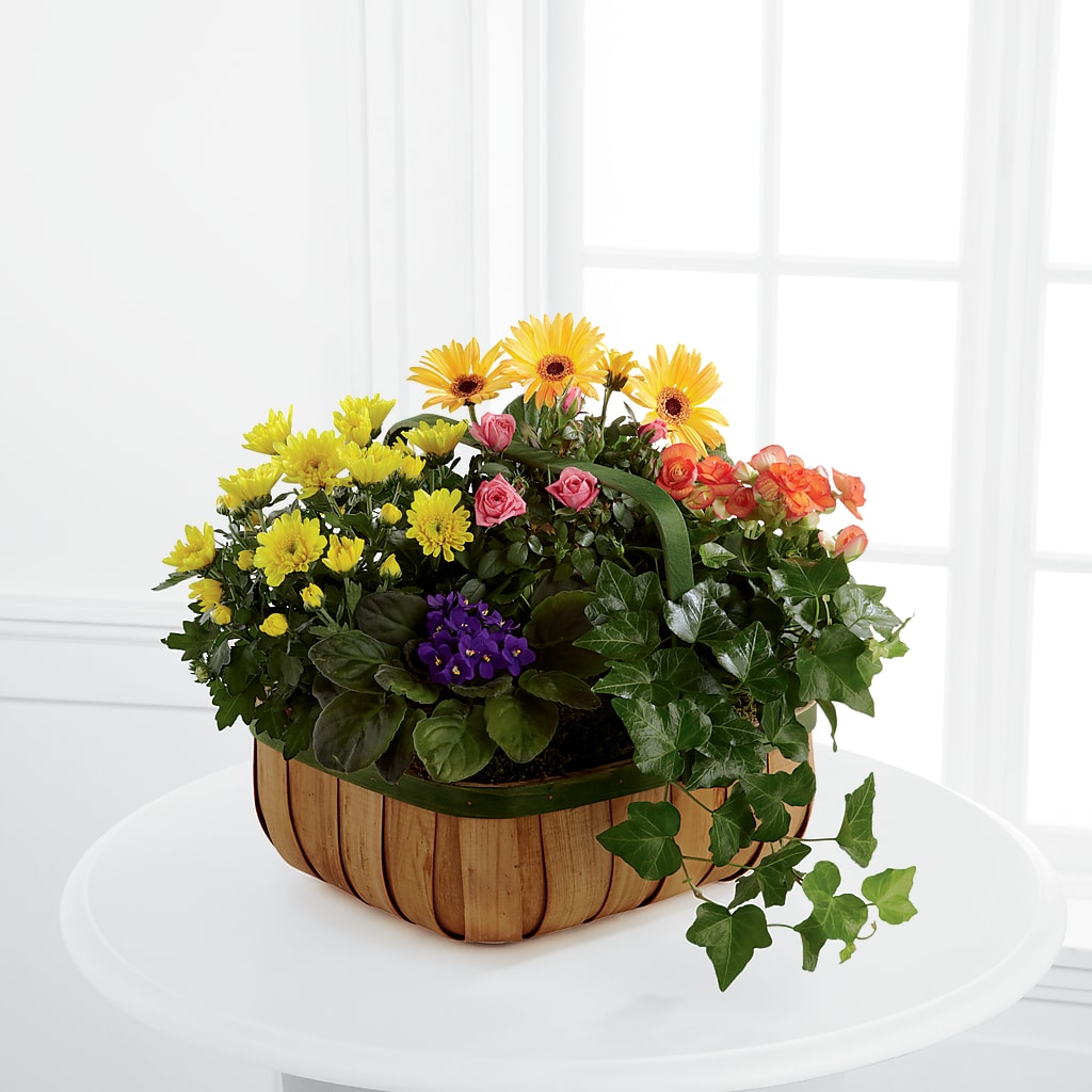 Gentle Blossoms Basket – FUZZY'S FLOWERS GIFTS AND TUXEDOS, Marion OH