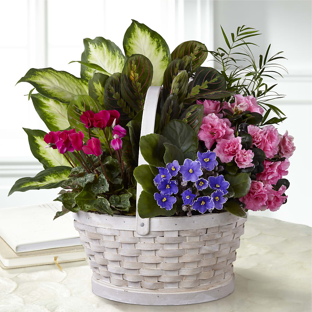 Peaceful Garden Planter – FUZZY'S FLOWERS GIFTS AND TUXEDOS, Marion OH