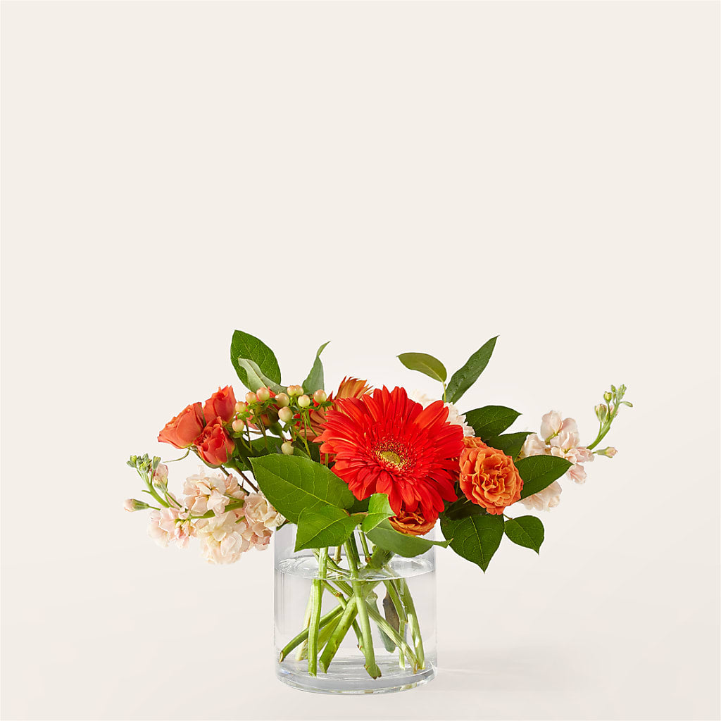 Paloma Please Bouquet – FUZZY'S FLOWERS GIFTS AND TUXEDOS, Marion OH