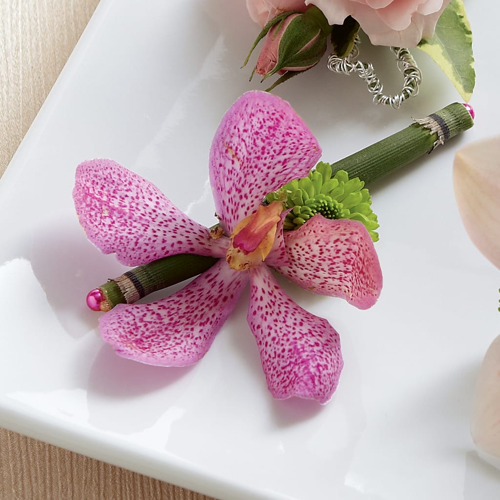 Pink Mokara Boutonniere – FUZZY'S FLOWERS GIFTS AND TUXEDOS, Marion OH