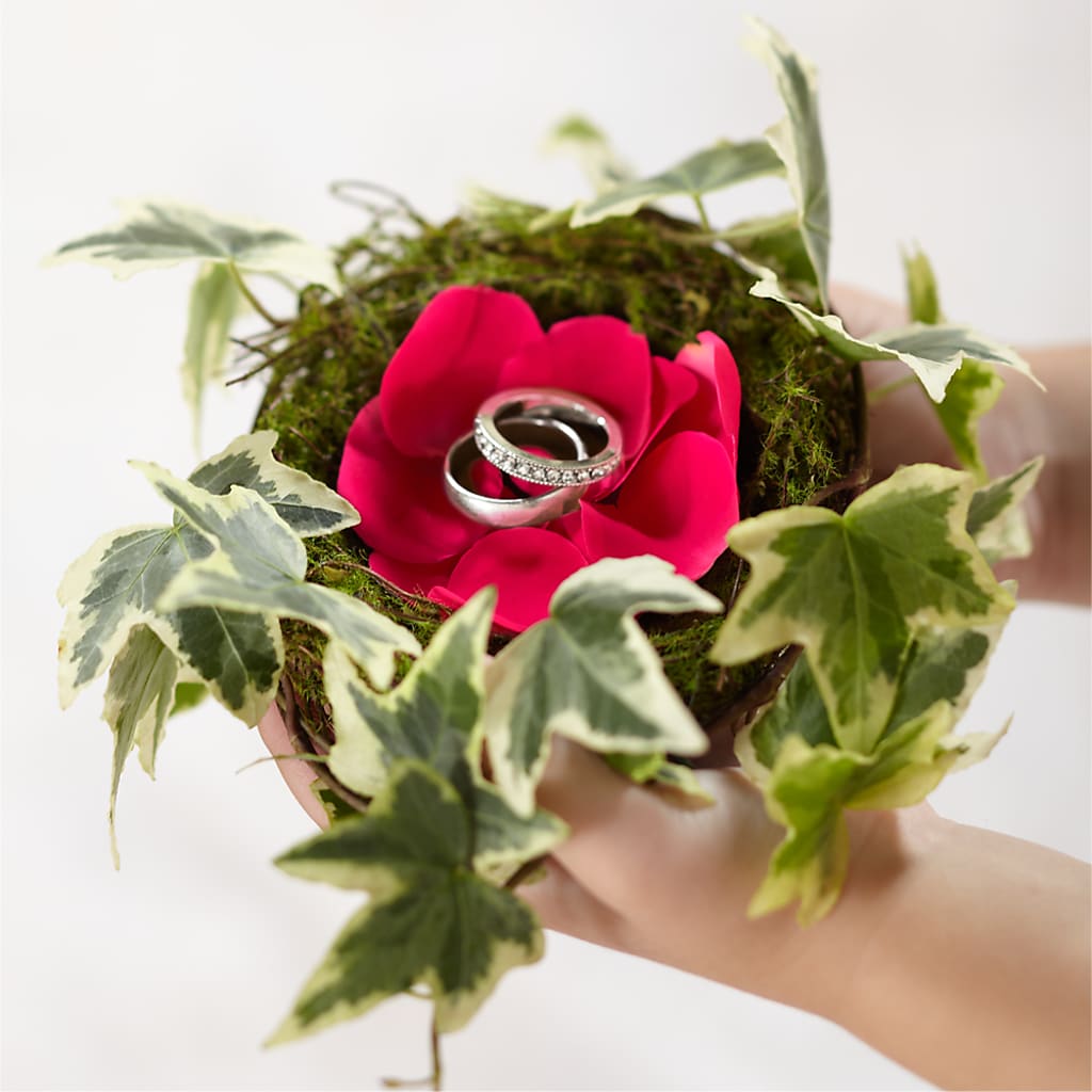 Lila Rose Ring Nest – FUZZY'S FLOWERS GIFTS AND TUXEDOS, Marion OH