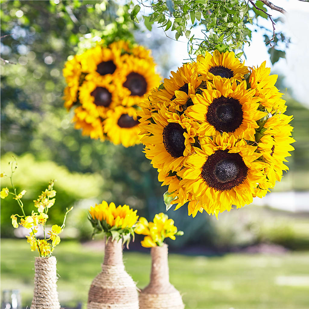 Sublime Garden Hanging Arrangement – FUZZY'S FLOWERS GIFTS AND TUXEDOS, Marion OH