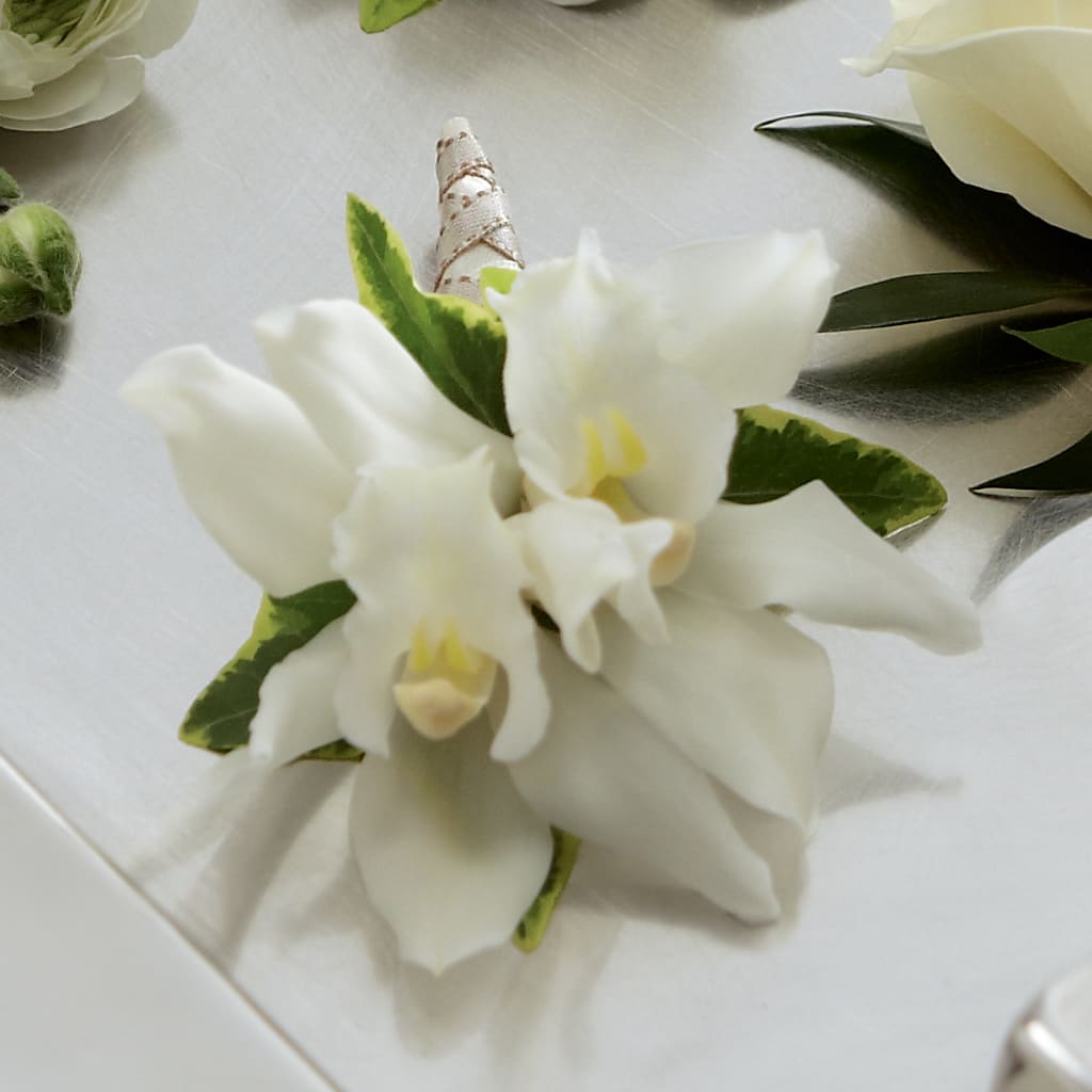 White Mini Cymbidium Boutonniere – FUZZY'S FLOWERS GIFTS AND TUXEDOS, Marion OH