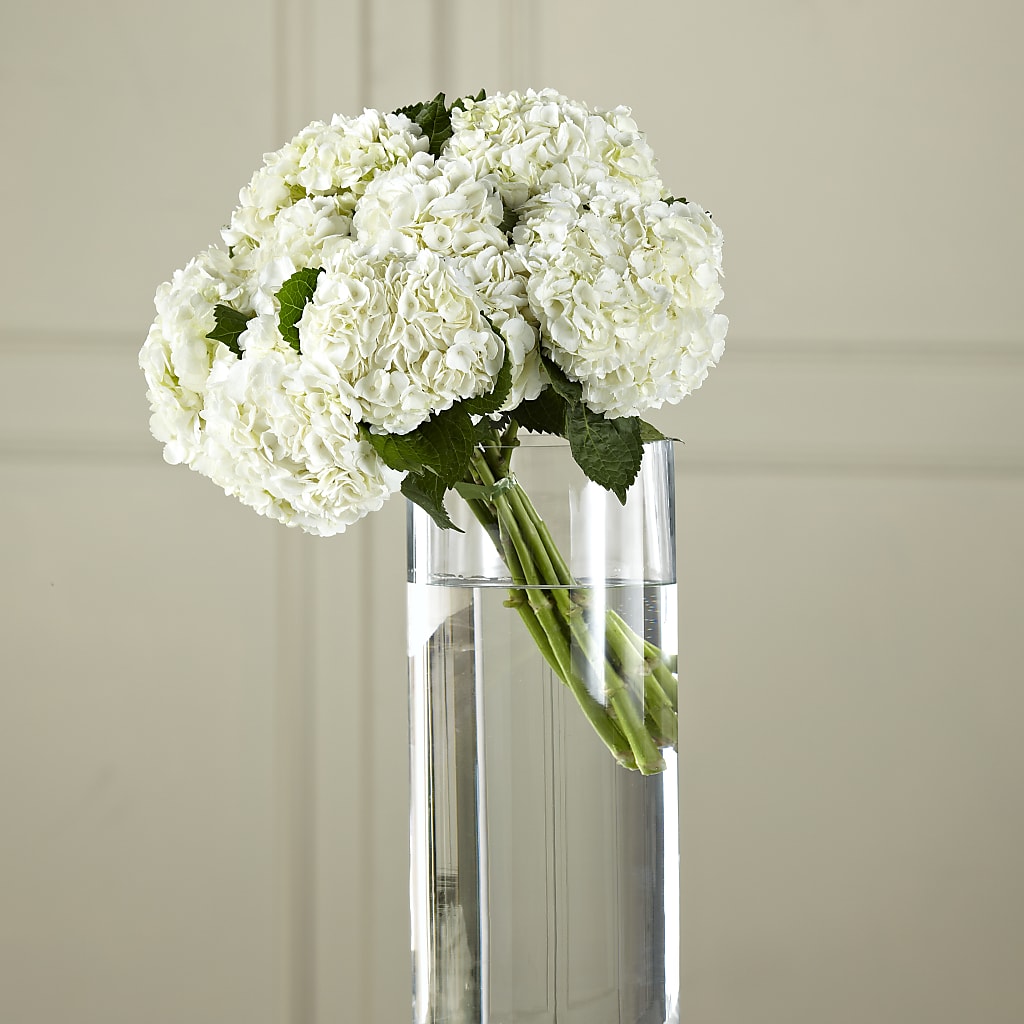 White Hydrangea Hand-Tied Bouquet – FUZZY'S FLOWERS GIFTS AND TUXEDOS, Marion OH