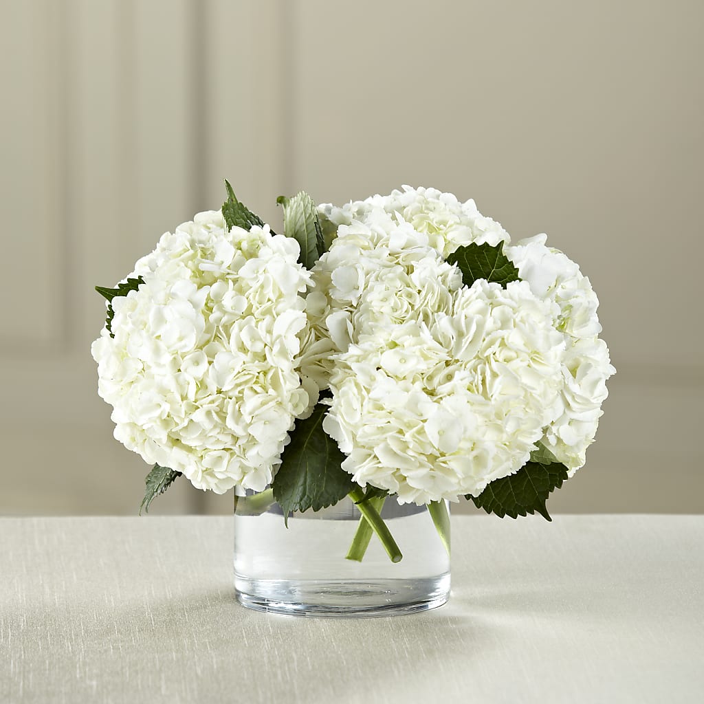 White Hydrangea Bouquet – FUZZY'S FLOWERS GIFTS AND TUXEDOS, Marion OH