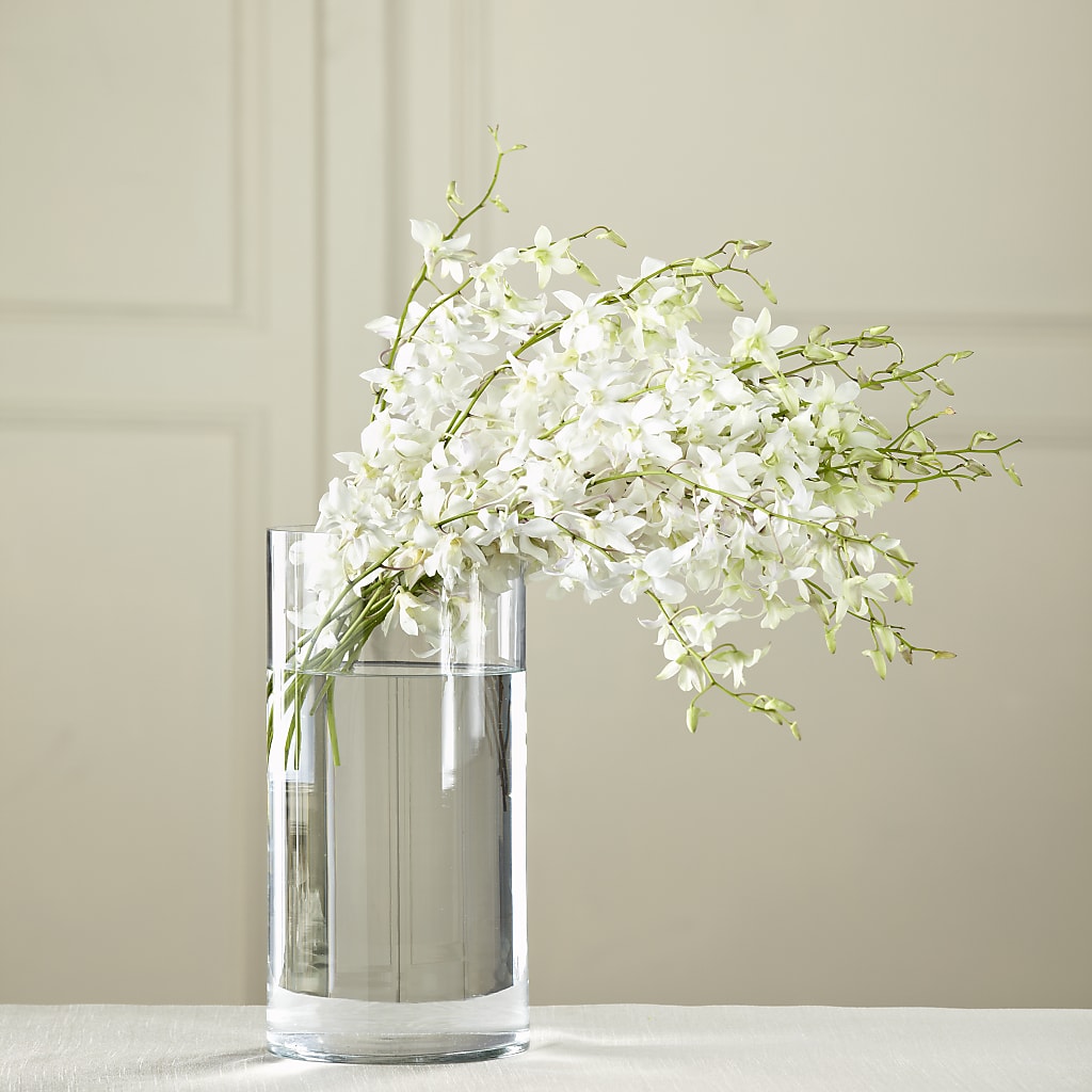 White Dendrobium Bouquet – FUZZY'S FLOWERS GIFTS AND TUXEDOS, Marion OH