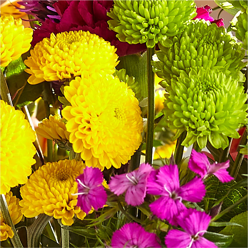 Bold & Bright – A Florist Original – FUZZY'S FLOWERS GIFTS AND TUXEDOS, Marion OH
