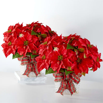 Happiest Holidays Poinsettia Bundle – FUZZY'S FLOWERS GIFTS AND TUXEDOS, Marion OH