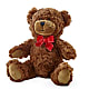 Adorable Plush Bear – FUZZY'S FLOWERS GIFTS AND TUXEDOS, Marion OH