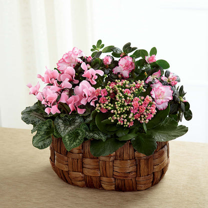 Pink Assortment – FUZZY'S FLOWERS GIFTS AND TUXEDOS, Marion OH