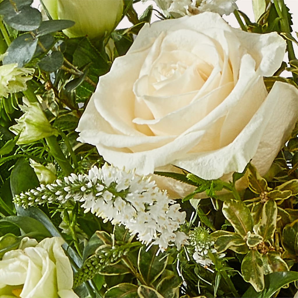 Cashmere Bouquet – FUZZY'S FLOWERS GIFTS AND TUXEDOS, Marion OH
