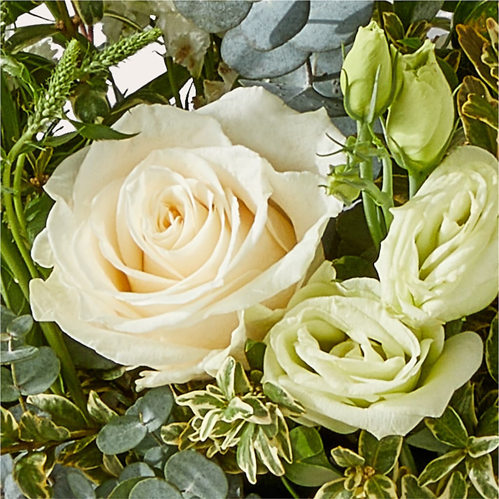 Cashmere Bouquet – FUZZY'S FLOWERS GIFTS AND TUXEDOS, Marion OH