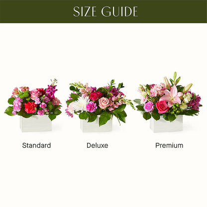 Sweetberry Box – A Florist Original – FUZZY'S FLOWERS GIFTS AND TUXEDOS, Marion OH