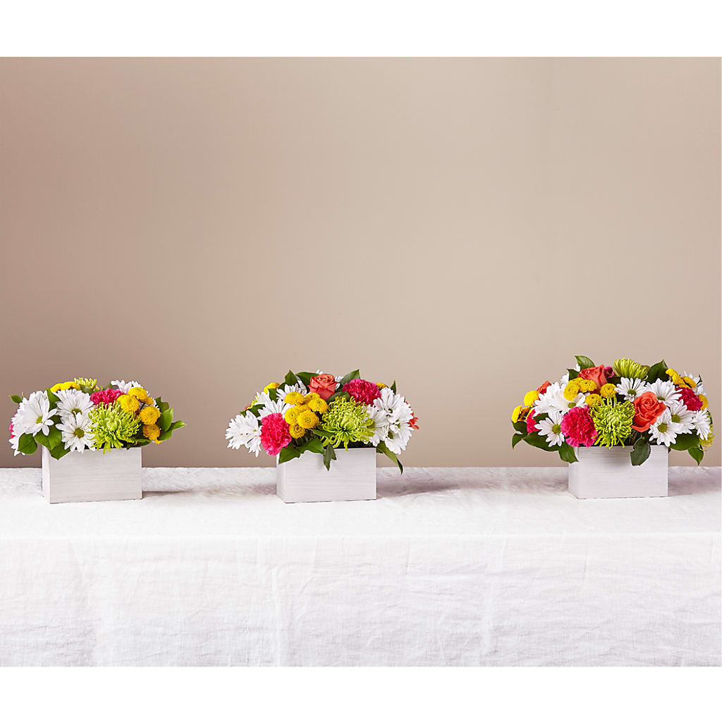 Sorbet Bouquet – FUZZY'S FLOWERS GIFTS AND TUXEDOS, Marion OH