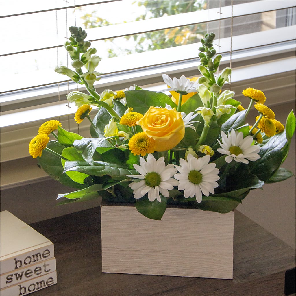 Sun Salutation Box Bouquet – FUZZY'S FLOWERS GIFTS AND TUXEDOS, Marion OH
