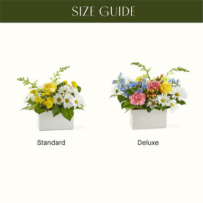 Sun Salutation Box Bouquet – FUZZY'S FLOWERS GIFTS AND TUXEDOS, Marion OH