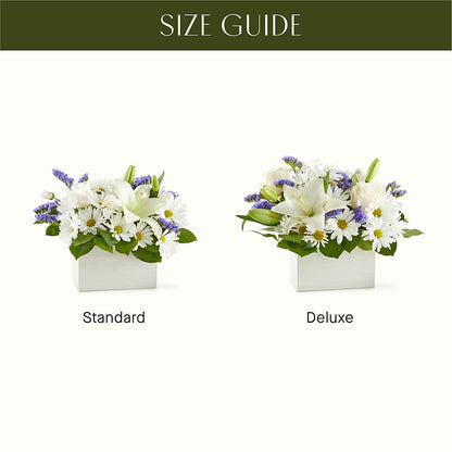 Beyond Blue Box Bouquet – FUZZY'S FLOWERS GIFTS AND TUXEDOS, Marion OH