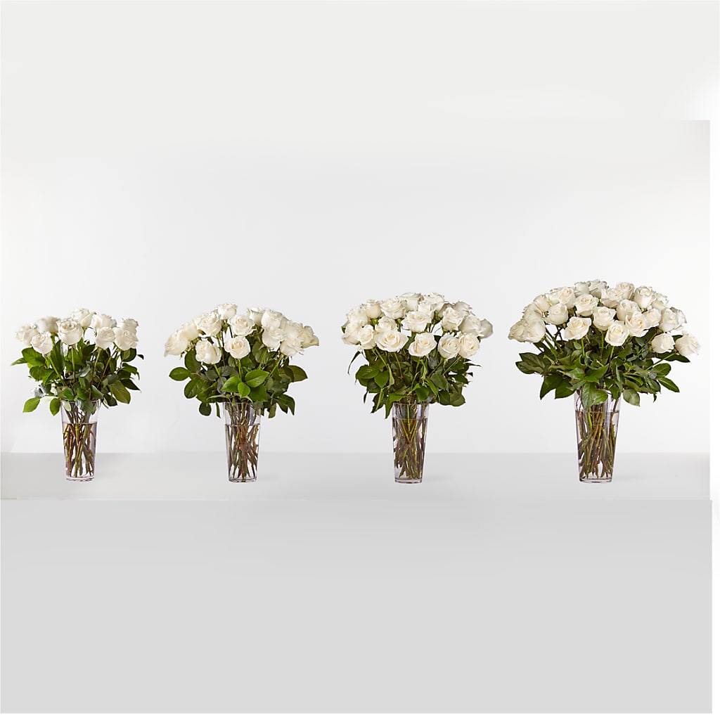 Long Stem White Rose Bouquet – FUZZY'S FLOWERS GIFTS AND TUXEDOS, Marion OH