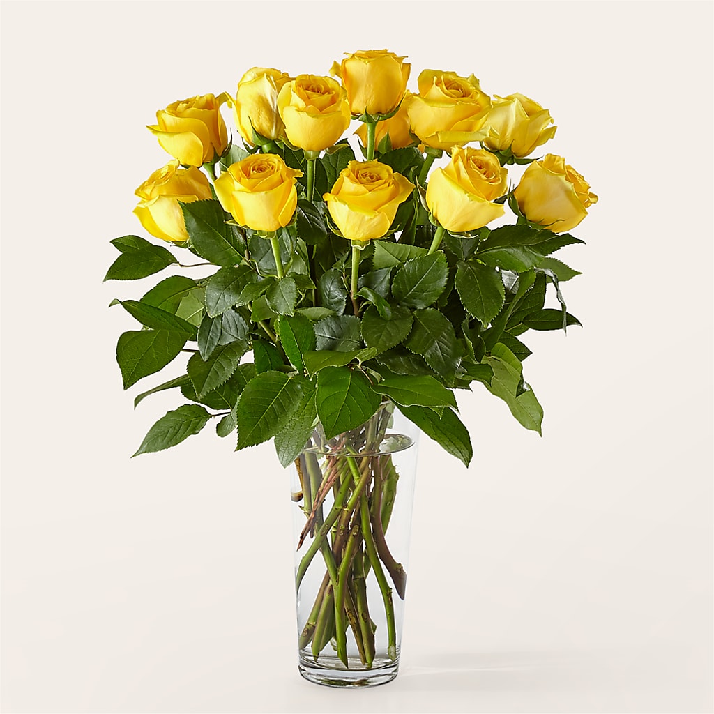 Long Stem Yellow Rose Bouquet – FUZZY'S FLOWERS GIFTS AND TUXEDOS, Marion OH