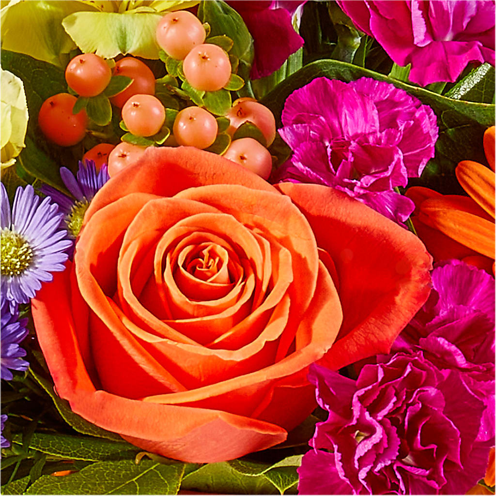 Tricks & Treats Pumpkin – FUZZY'S FLOWERS GIFTS AND TUXEDOS, Marion OH