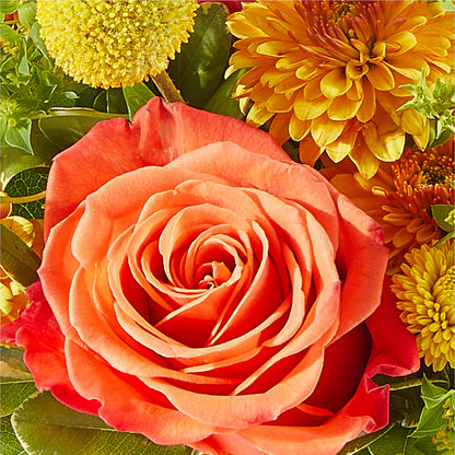 Gourdgeous Pumpkin – FUZZY'S FLOWERS GIFTS AND TUXEDOS, Marion OH