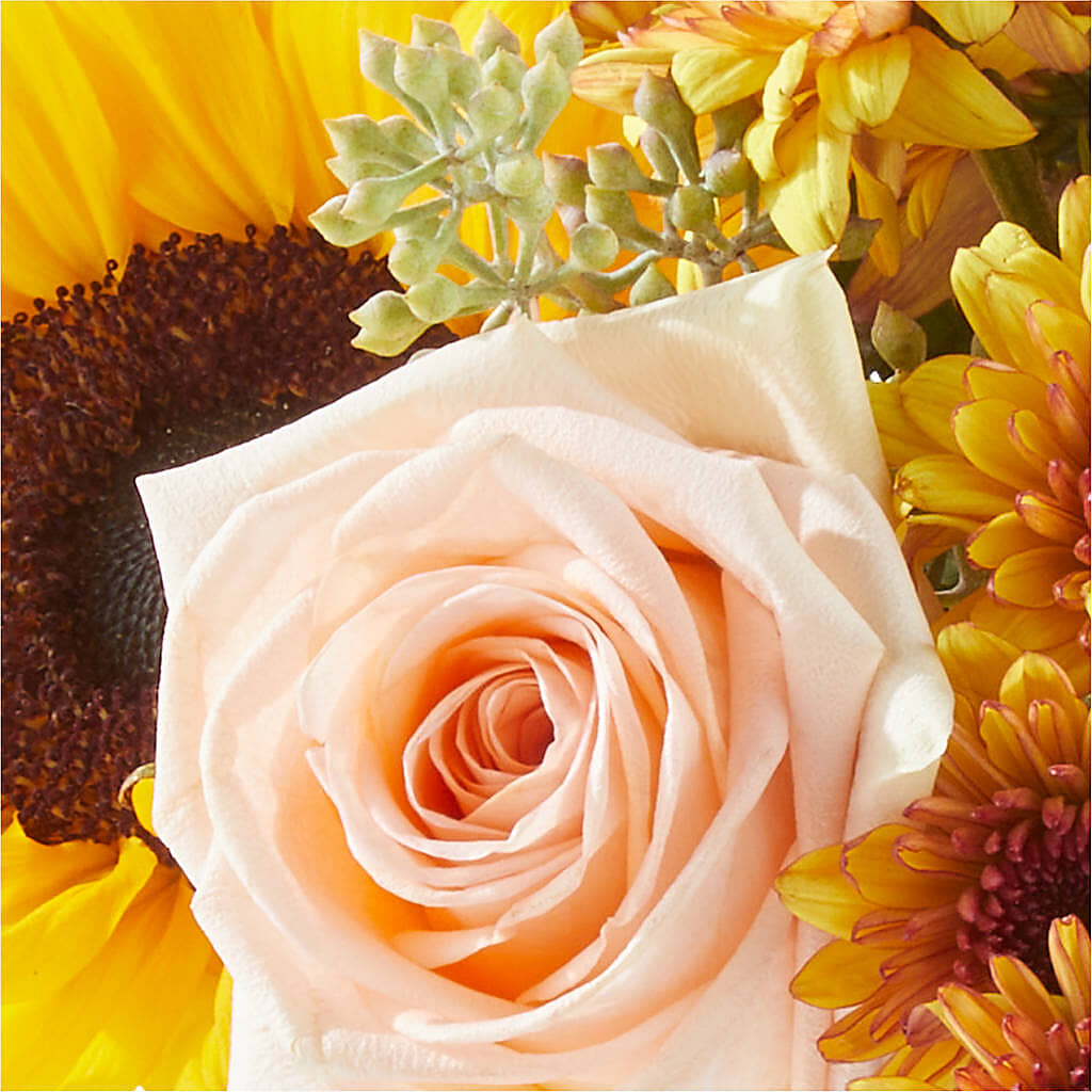 Pumpkin to Talk About Bouquet – FUZZY'S FLOWERS GIFTS AND TUXEDOS, Marion OH