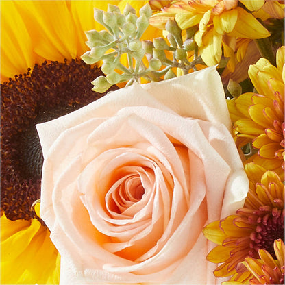 Pumpkin to Talk About Bouquet – FUZZY'S FLOWERS GIFTS AND TUXEDOS, Marion OH