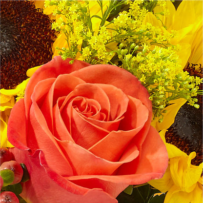 Pick of the Patch Pumpkin Bouquet – FUZZY'S FLOWERS GIFTS AND TUXEDOS, Marion OH