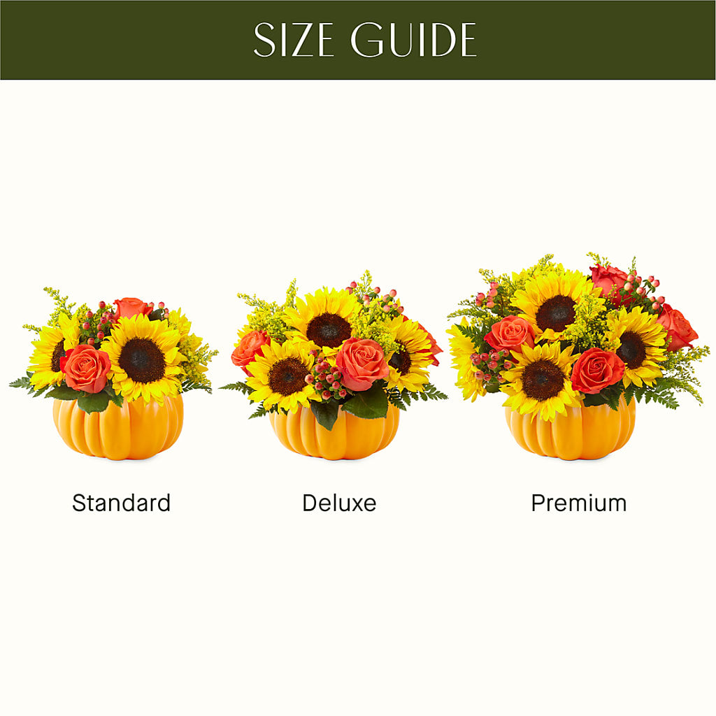 Pick of the Patch Pumpkin Bouquet – FUZZY'S FLOWERS GIFTS AND TUXEDOS, Marion OH