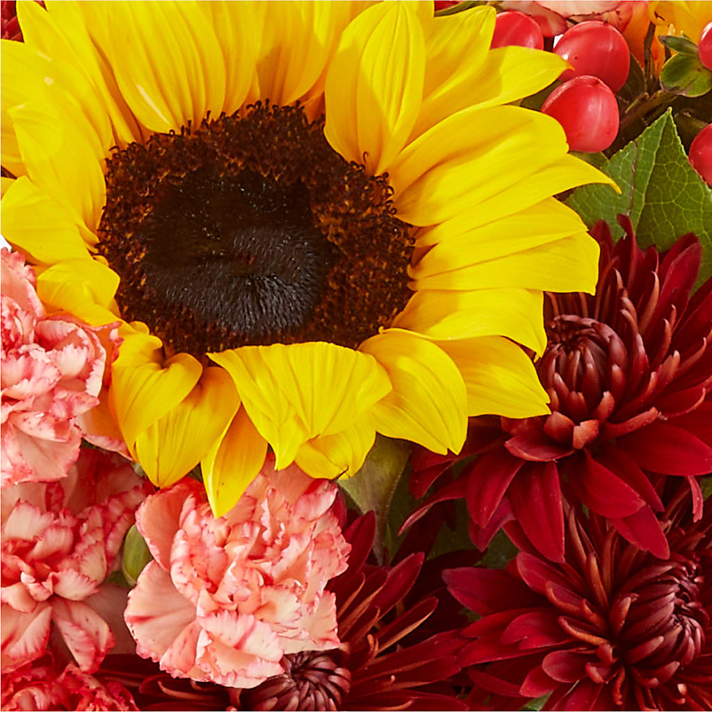 Fresh Cider Bouquet – FUZZY'S FLOWERS GIFTS AND TUXEDOS, Marion OH