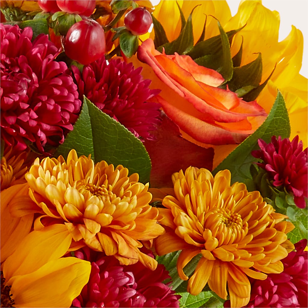 Sweater Season - A Florist Original – FUZZY'S FLOWERS GIFTS AND TUXEDOS, Marion OH