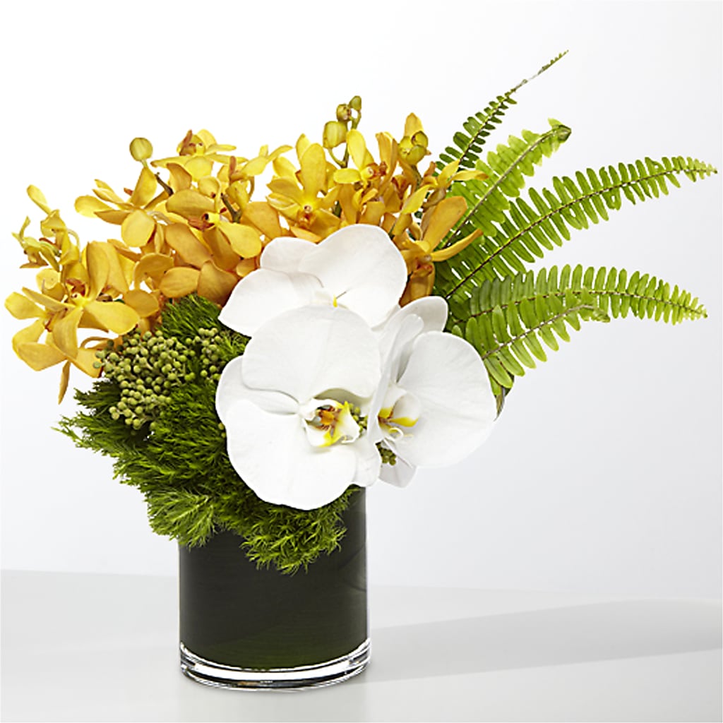 The Tropics – FUZZY'S FLOWERS GIFTS AND TUXEDOS, Marion OH