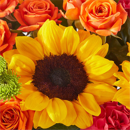 Sun-drenched Blooms Box Bouquet – FUZZY'S FLOWERS GIFTS AND TUXEDOS, Marion OH