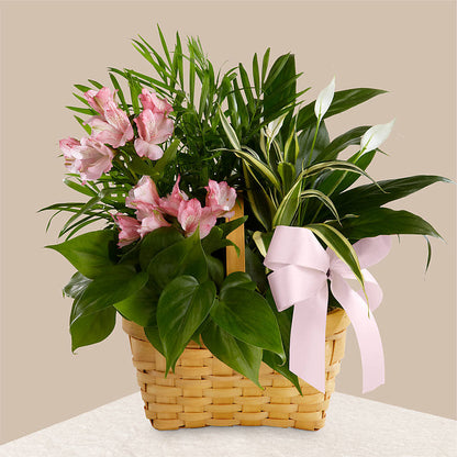 Living Spirit Dishgarden – FUZZY'S FLOWERS GIFTS AND TUXEDOS, Marion OH