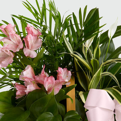 Living Spirit Dishgarden – FUZZY'S FLOWERS GIFTS AND TUXEDOS, Marion OH