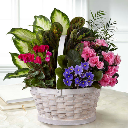 Peaceful Garden Planter – FUZZY'S FLOWERS GIFTS AND TUXEDOS, Marion OH