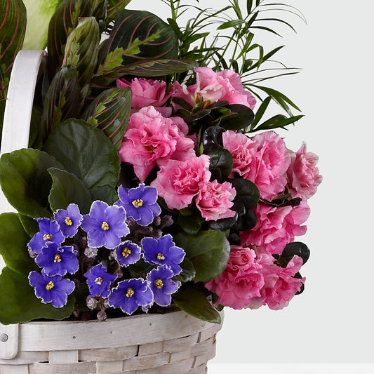 Peaceful Garden Planter – FUZZY'S FLOWERS GIFTS AND TUXEDOS, Marion OH