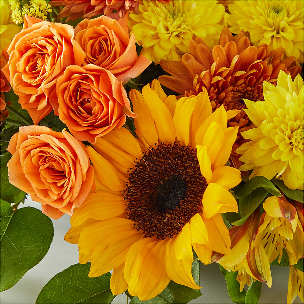 Autumn Harmony Centerpiece – FUZZY'S FLOWERS GIFTS AND TUXEDOS, Marion OH