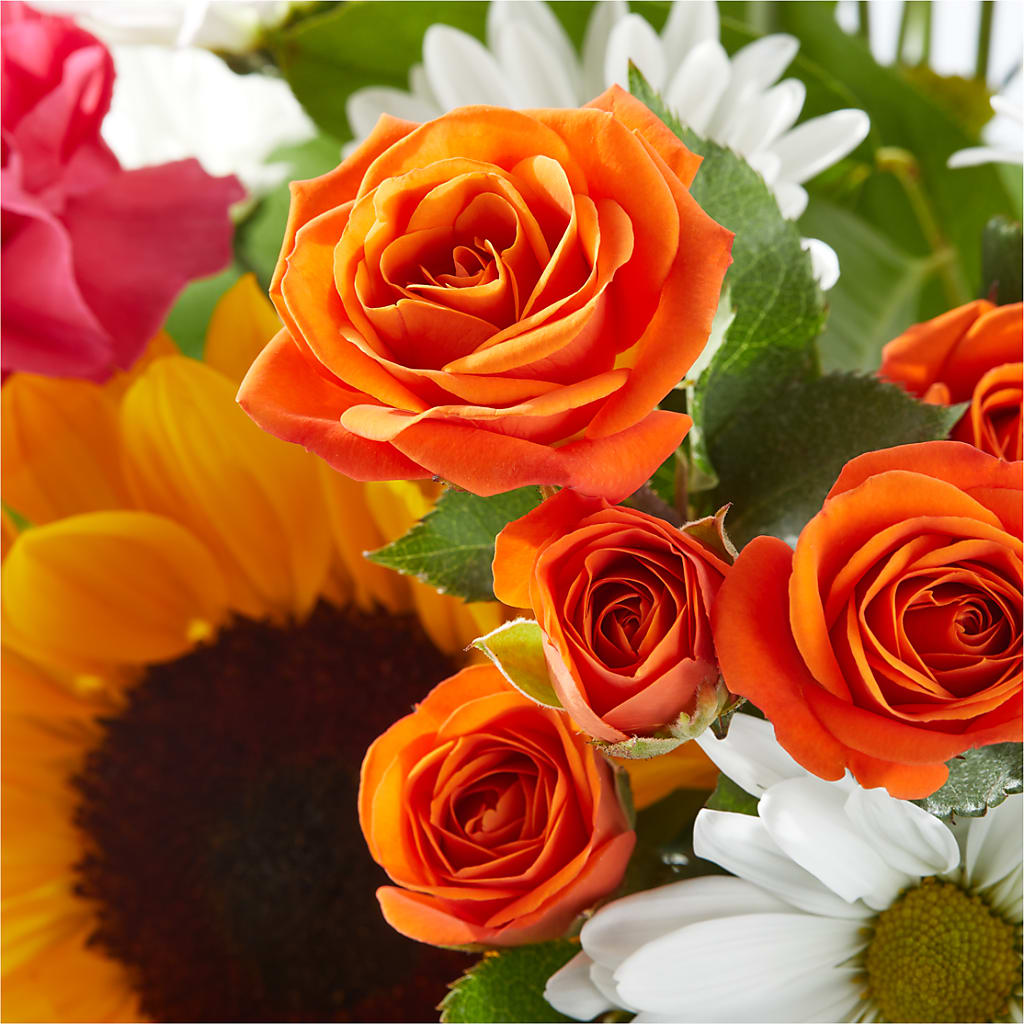 Sun-drenched Blooms Bouquet – FUZZY'S FLOWERS GIFTS AND TUXEDOS, Marion OH