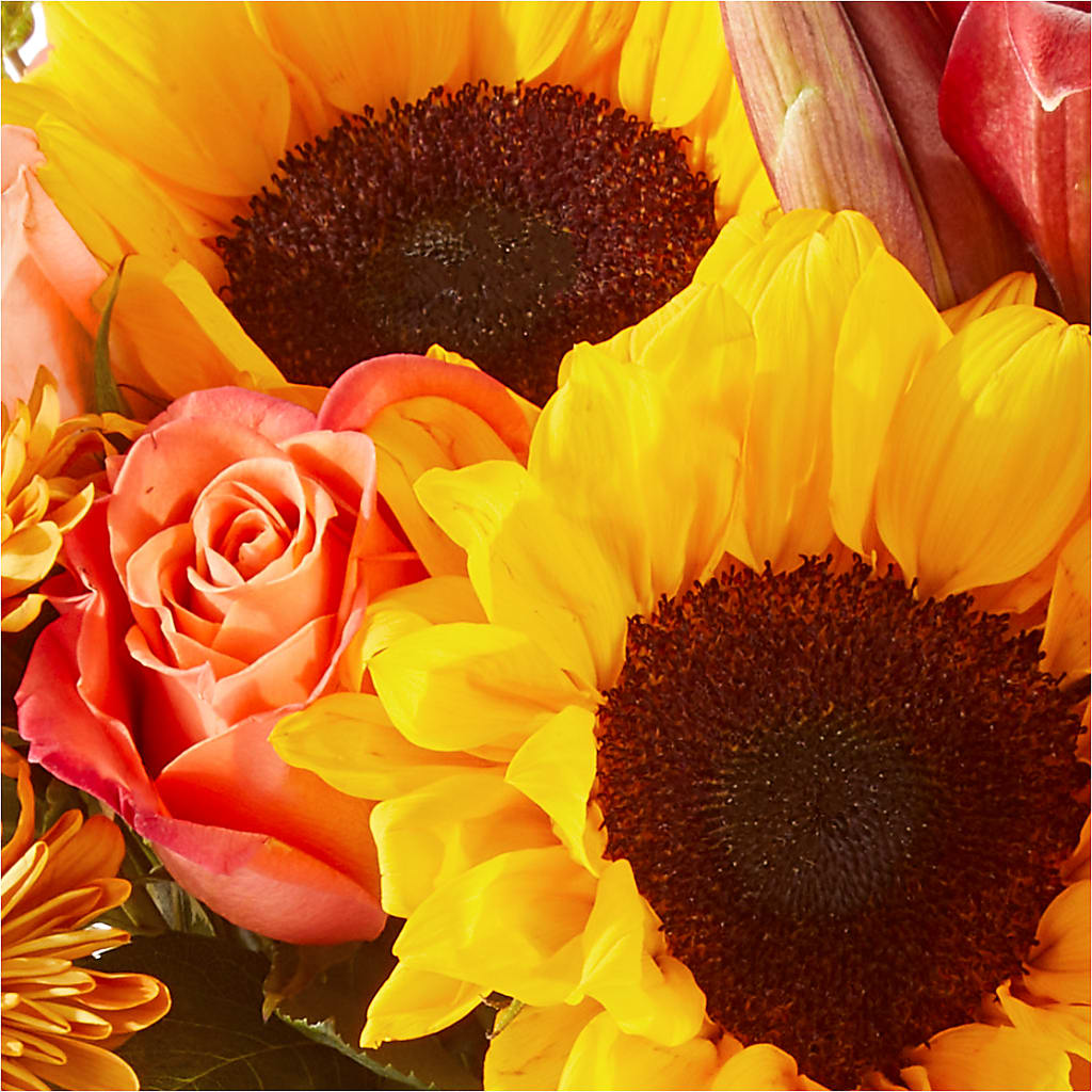 Acorn Lane Bouquet – FUZZY'S FLOWERS GIFTS AND TUXEDOS, Marion OH