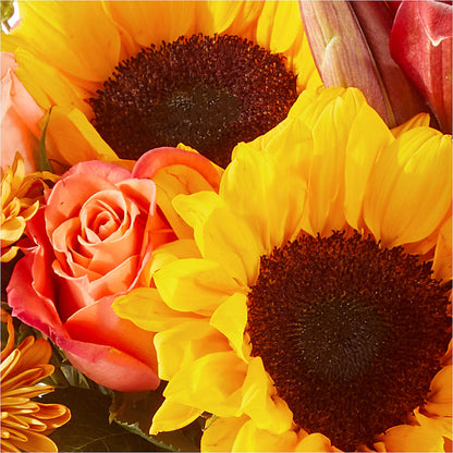 Acorn Lane Bouquet – FUZZY'S FLOWERS GIFTS AND TUXEDOS, Marion OH