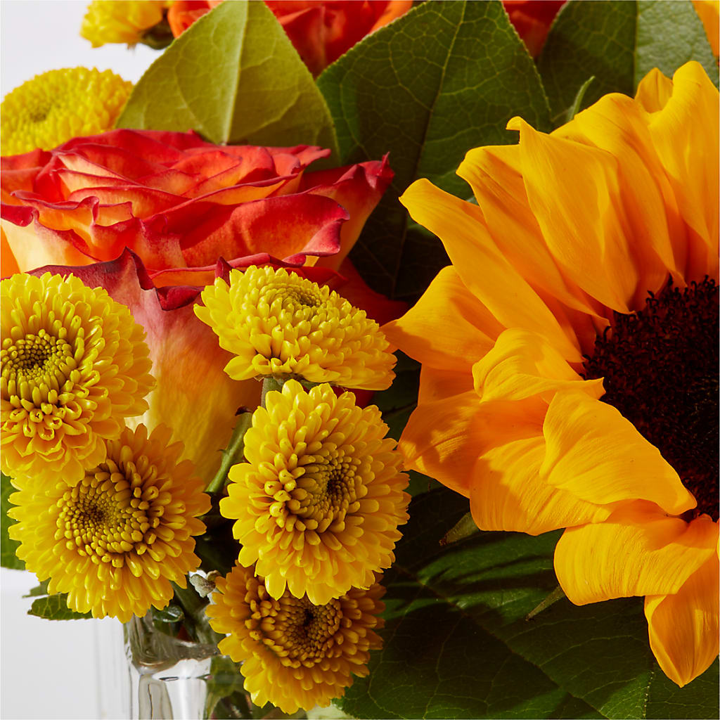 Picnic in the Park Bouquet – FUZZY'S FLOWERS GIFTS AND TUXEDOS, Marion OH