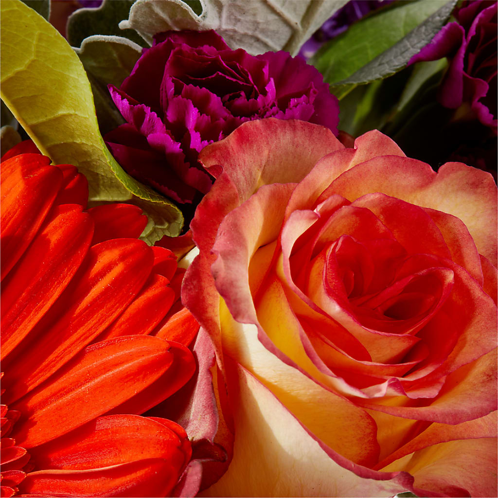 Sangria Bouquet – FUZZY'S FLOWERS GIFTS AND TUXEDOS, Marion OH