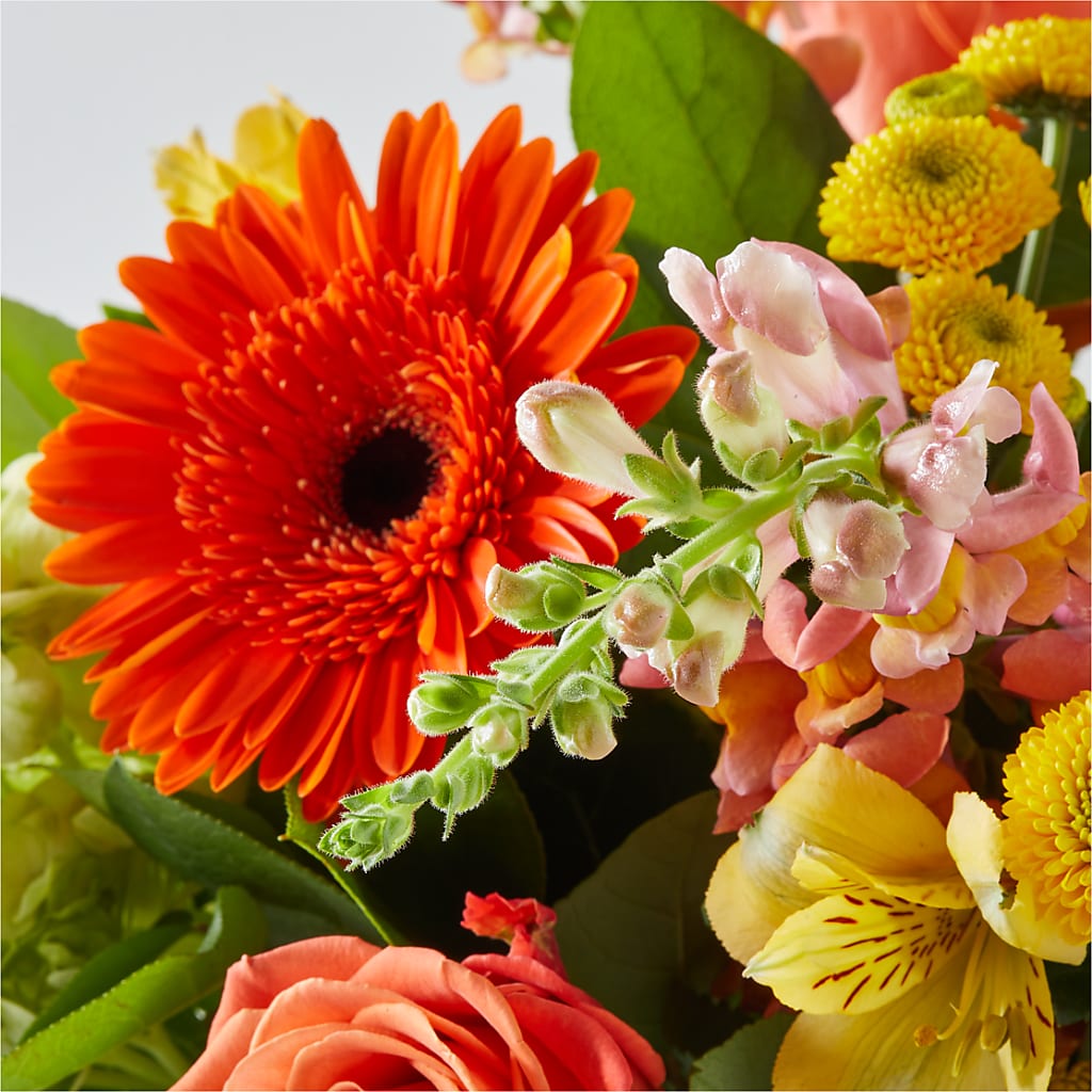 Autumn Sunshine Bouquet – FUZZY'S FLOWERS GIFTS AND TUXEDOS, Marion OH