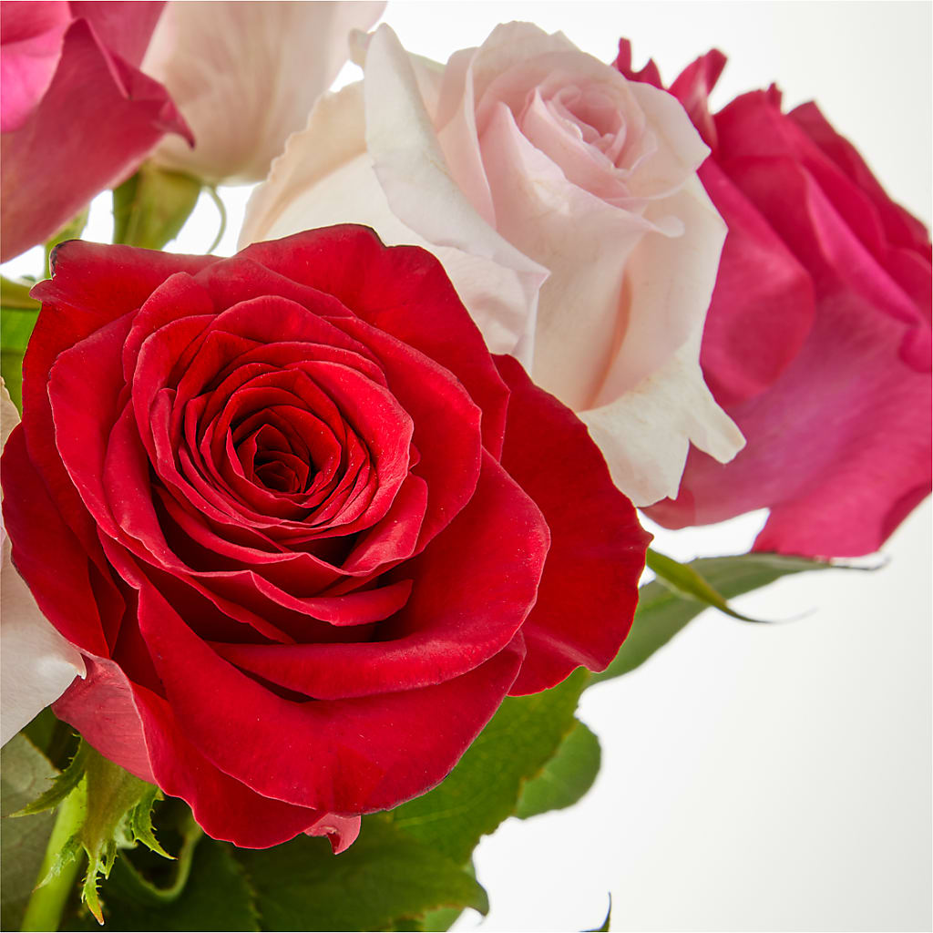 Charming Rose Bouquet – FUZZY'S FLOWERS GIFTS AND TUXEDOS, Marion OH