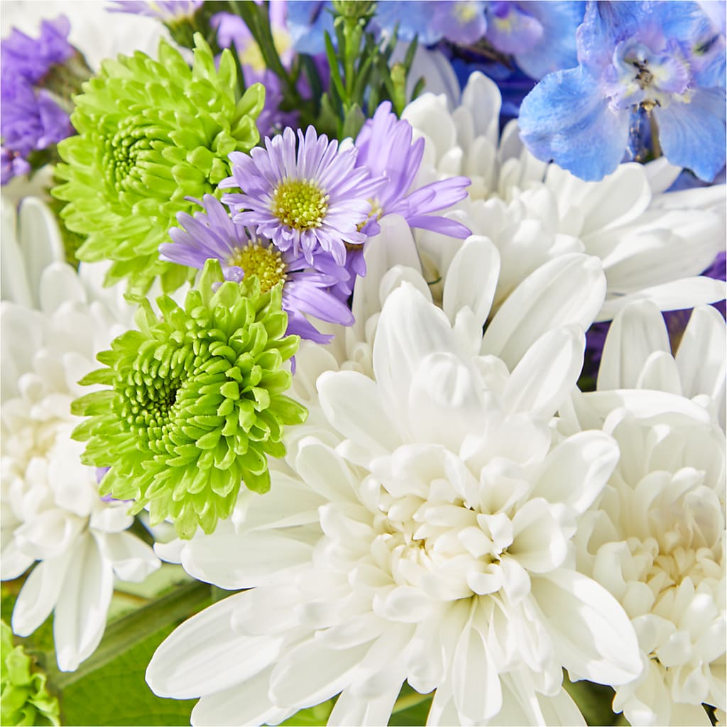 Genuine Gestures Bouquet – FUZZY'S FLOWERS GIFTS AND TUXEDOS, Marion OH