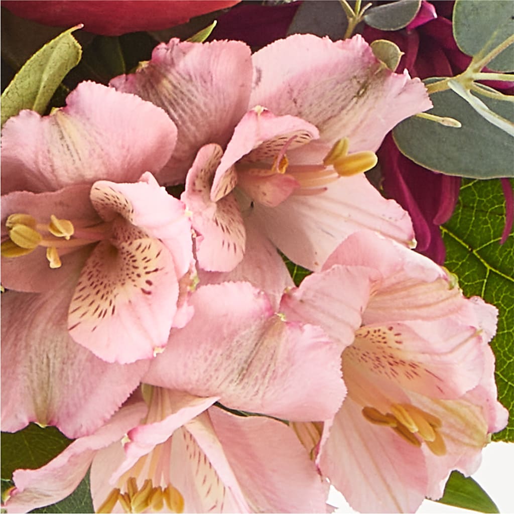 Berry Cobbler Bouquet – FUZZY'S FLOWERS GIFTS AND TUXEDOS, Marion OH