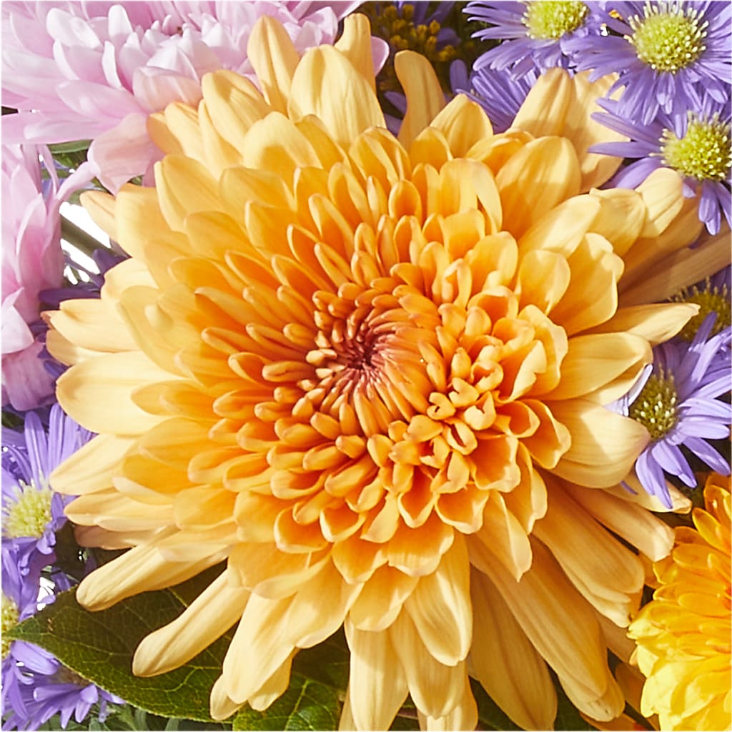 Countryside Bouquet – FUZZY'S FLOWERS GIFTS AND TUXEDOS, Marion OH