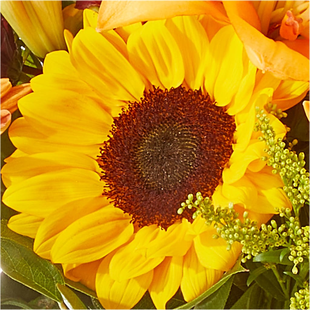 Seasons Change Bouquet – FUZZY'S FLOWERS GIFTS AND TUXEDOS, Marion OH